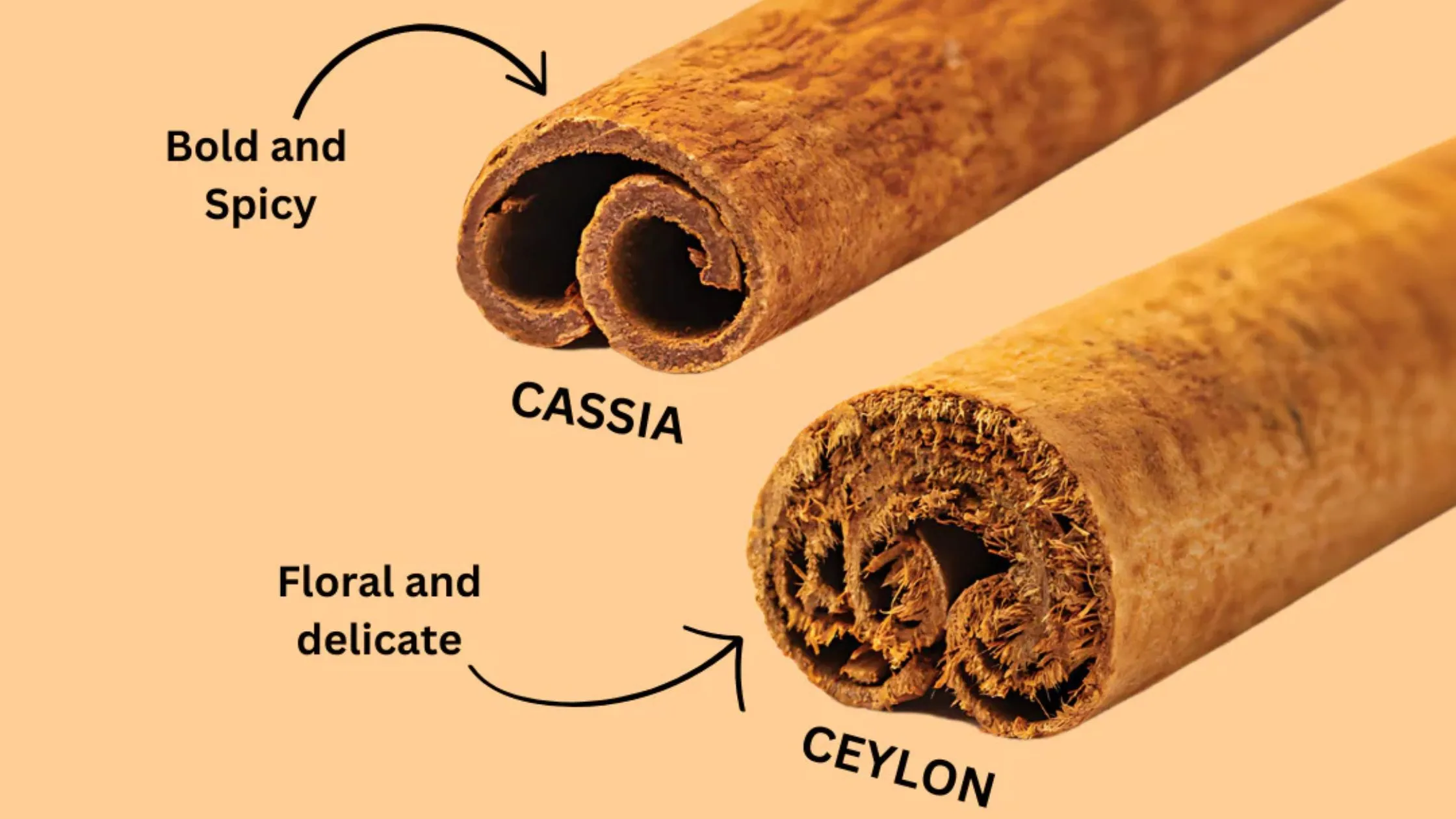 Light tan Ceylon cinnamon quill next to a thicker, dark brown Cassia cinnamon stick Purpose: Primary comparison image supporting the "Quick Answer" and appearance sections